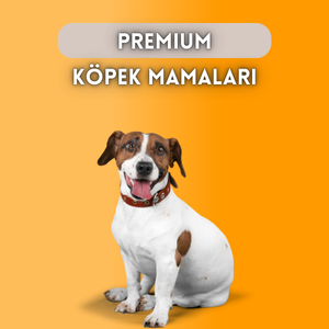 Premium Köpek Ürünleri