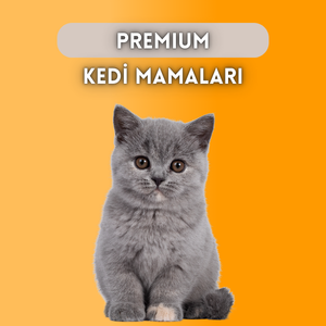 Premium Kedi Ürünleri