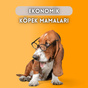 Köpek